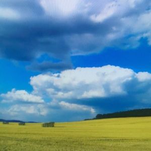 Meet your Posher, Maximo